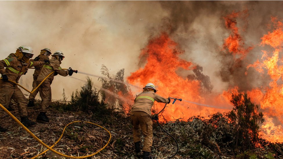 انخفاض ملموس في المساحات الغابوية المتضررة من الحرائق بالمغرب سنة 2023