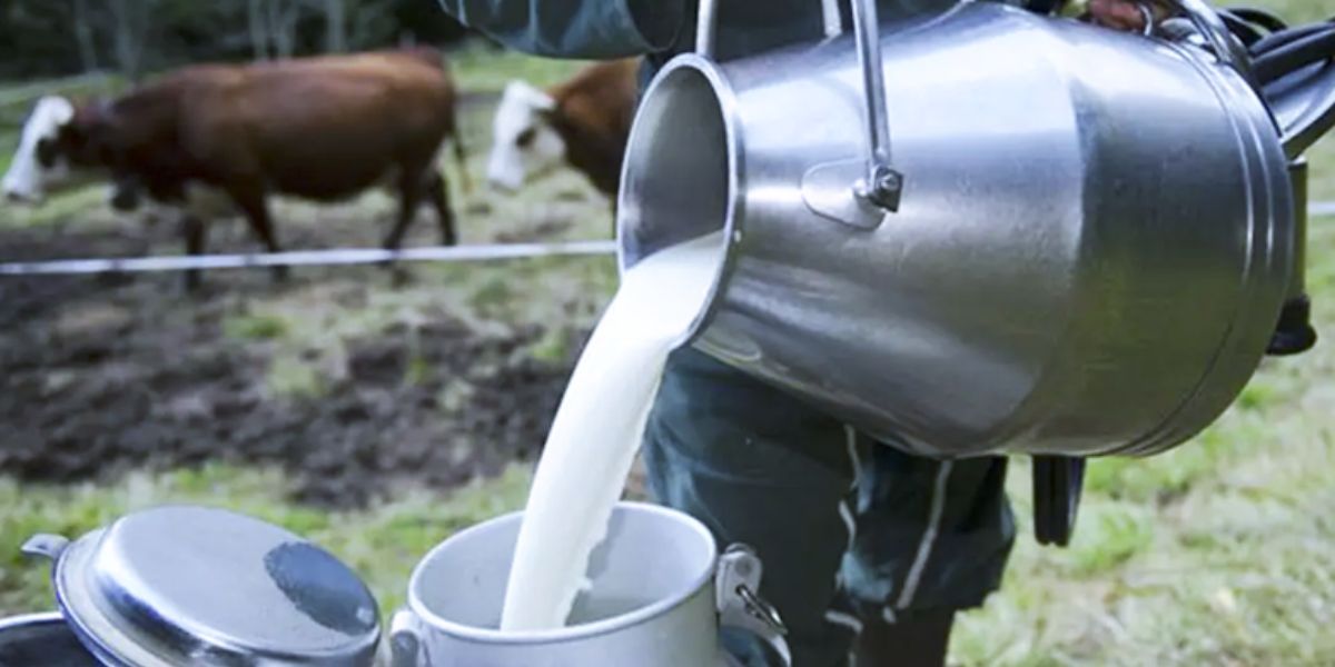 ندرة الحليب في رمضان تثير مخاوف المواطنين ومهنيون يوضّحون