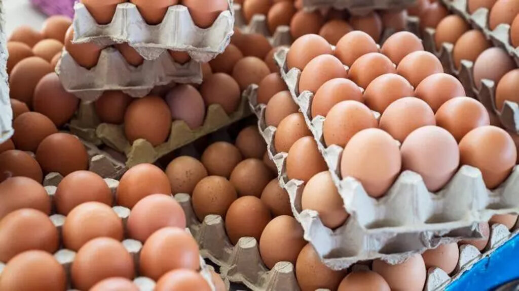 أسعار البيض تسجل انخفاضا ملحوظا لتستقر على ثمن درهم واحد